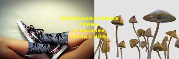 молекула духа Осинники