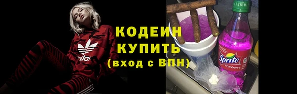 гидра Вяземский