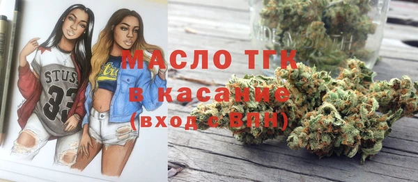 молекула духа Осинники