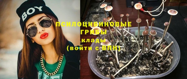 таблы Щучье