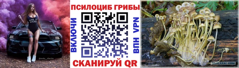 гидра онион  Тара  Галлюциногенные грибы прущие грибы 